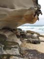 Cliff at tamarama